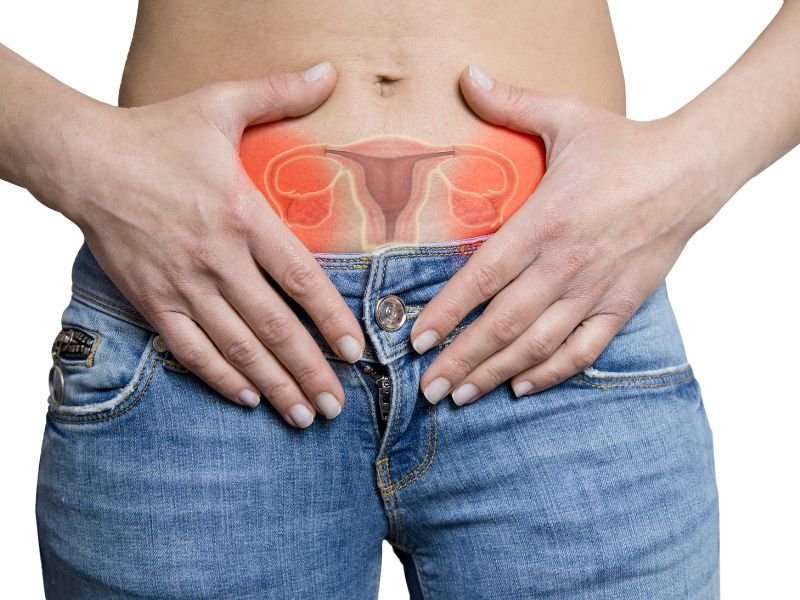 Cancer de Ovario Fatores de Risco e Como Detectar Precocemente