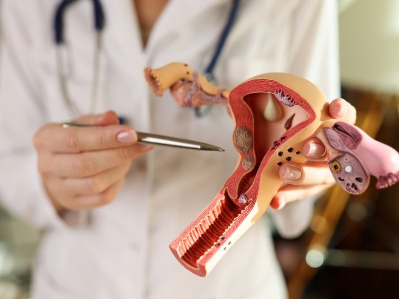 Exames ginecologicos Curitiba